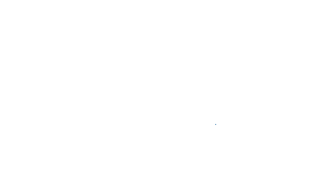 лого3 (2)